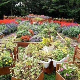 「ボランティア募集  (花壇づくり全般)」