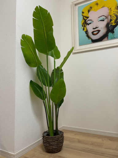 ニトリ 観葉植物 フェイクグリーン
