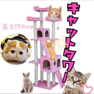 キャットタワー ピンク 猫 Cat Tower ワイドサイズ 高...