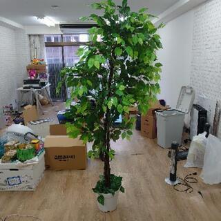 人工観葉植物　その1