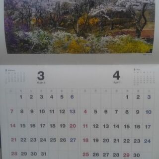 もう4月ですが…