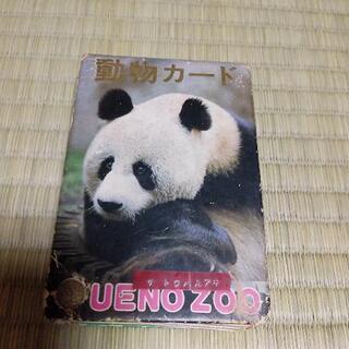 上野動物園　動物カード