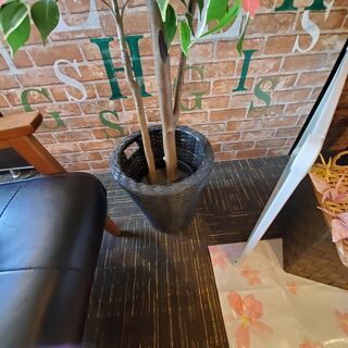 4/29まで期間限定出品！！　大型鉢植えフェイクグリーン④の画像
