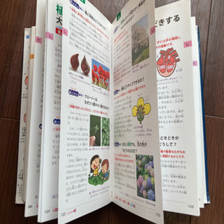 ⭐️最終お値下げしました❗️辞書びきえほん　科学のふしぎ　の画像