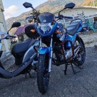 値下げ再出品 125cc YAMAHA YBR125K 原付2種の画像