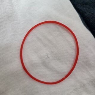 ロンティー②の画像