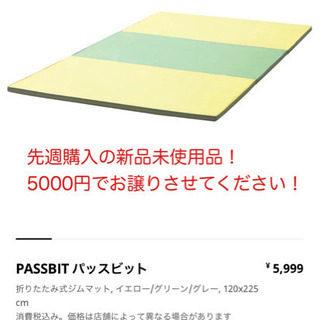 購入したばかりの新品未使用品！IKEA パッスビット　折り畳み式ジム