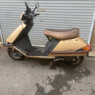 新車からワンオーナーのスペイシー50！