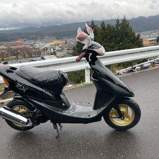HONDA LIVE DIO ZX 50