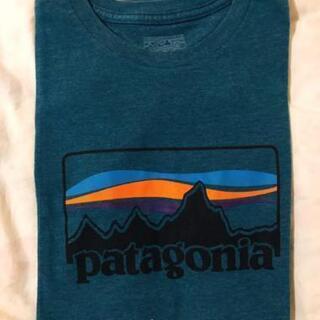 Patagonia（パタゴニア）の半袖Tシャツ（ターコイズブルー）
