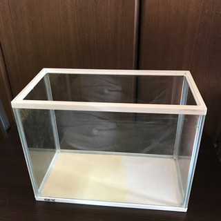 GEX 30センチ水槽