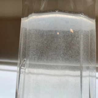 ゾウリムシ　種水　メダカやベタの餌に！