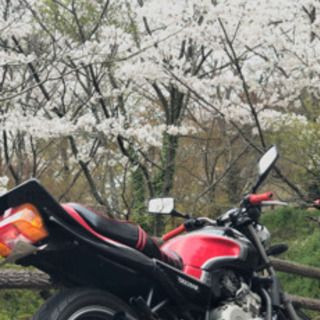 JADE250 外装
