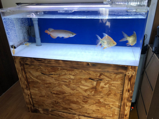 1200オーバーフロー　アクリル水槽