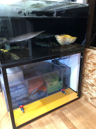 1200 オーバーフローアクリル水槽　4面ブラック