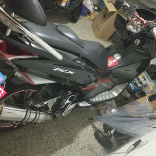 PCX125の画像