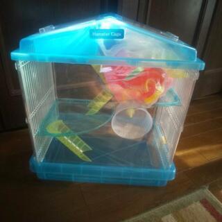 パンダマウス７匹 - かほく市