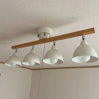 天井電気