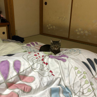気軽に遊べる友人を募集してます。 − 埼玉県