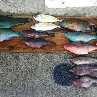 釣りクラブ仲間(👧)☝️ − 沖縄県