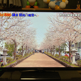 【値下中】Panasonic 32型 液晶テレビ