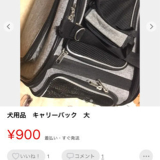 キャリーバッグ　大