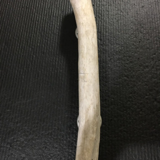 流木のドアノブ