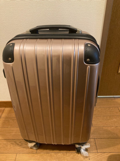 機内持ち込みSサイズスーツケース＊
