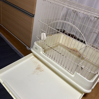 うさぎ ケージ  GEX  ラビんぐ  ロフトつき