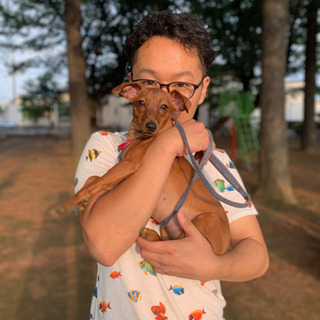 ミニピン（ミニチュアピンシャー ）友達募集(*☻-☻*)