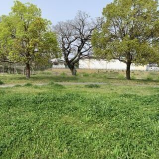 4/18(日) 11時〜13時／塩原中公園ピラティス＆ヨガ