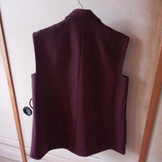 袖なしジャケットの画像