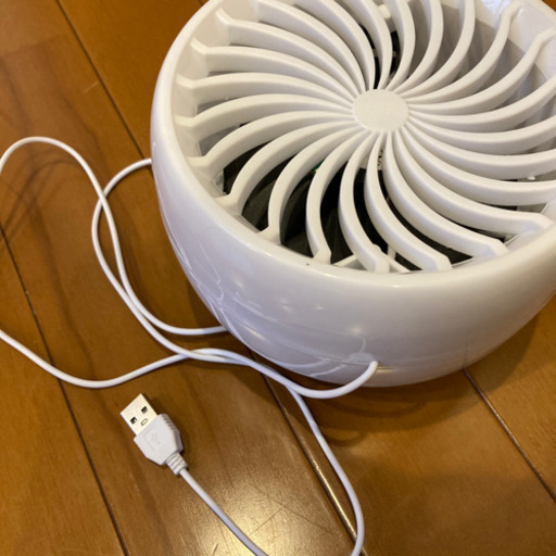 [引取者決定]USB 小蝿取り機