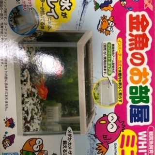 魚飼育セット　水槽と濾過器