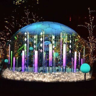 【値下げしました！】nikon d5600 ダブルレンズ＋単焦点 ※発送可の画像