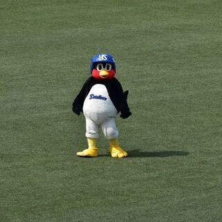 【値下げしました！】nikon d5600 ダブルレンズ＋単焦点 ※発送可の画像