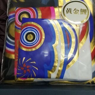 鯉のぼり(太郎黄金鯉)お庭設置タイプ  こどもの日が近づいて参り...