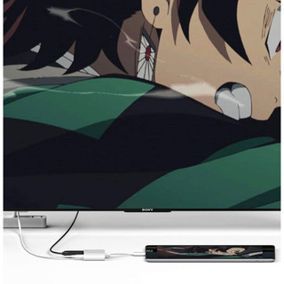 【送料無料】HDMI 変換アダプタの画像