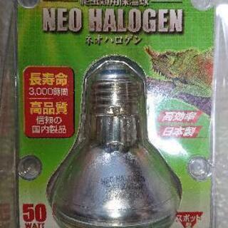 爬虫類用保温球 50w