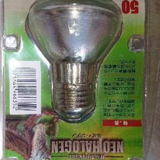 爬虫類用保温球 50wの画像