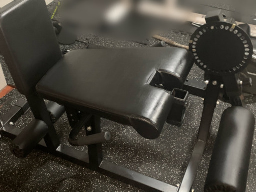 レッグエクステンション & カール(プレート別)