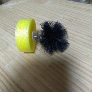 めだかの産卵床。