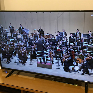55型 液晶テレビ 4K対応 アイリスオーヤマ 55UB10P