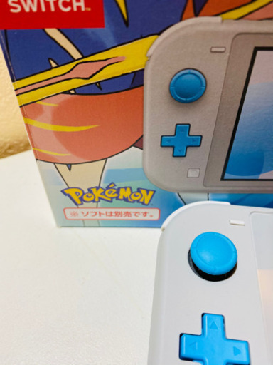 nintendo switch light ザマセンダザシアン　中古品