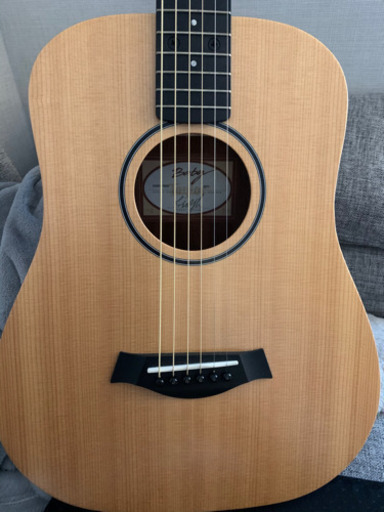 ベイビーテイラー baby taylor bt1 / Taylor BT-1