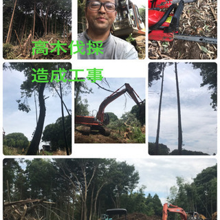 竹林　畑　森林伐採　抜根工事致します/三郷市　所沢市川口市さいたま市入間市〜 - 剪定/造園