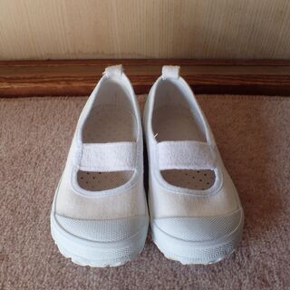 [教育シューズ] 上履き バレーDX　15.5cm