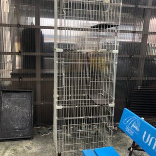 ■募集ストップ■マルカン ニャン太のお掃除カンタン キャットフレ...