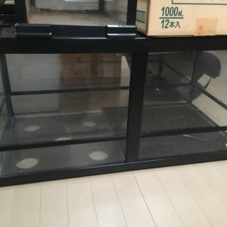 中古 45×45×80 カメレオン 爬虫類 飼育ケース メッシュケージ