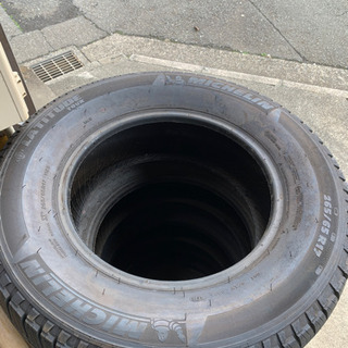 teat ラグーモジョイントチョップ